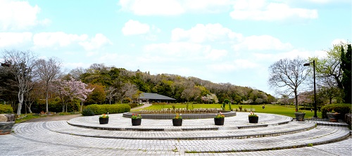 中央公園