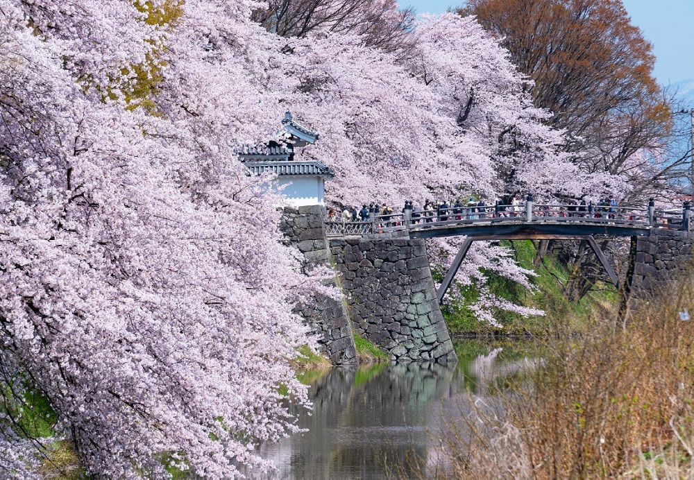 霞城公園