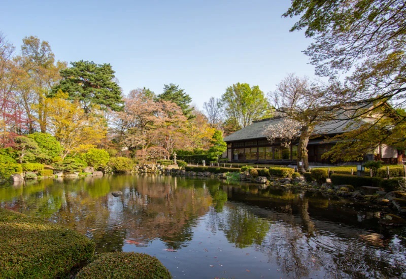 もみじ公園