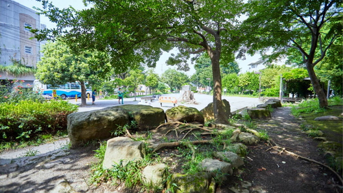 桜上水公園