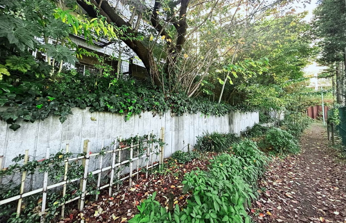 船橋小径