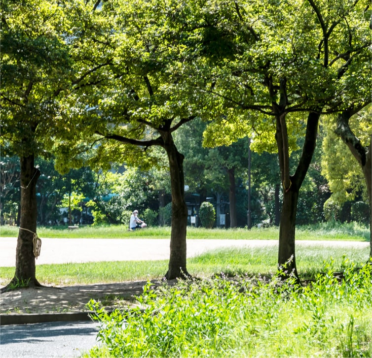 南港花のまち公園