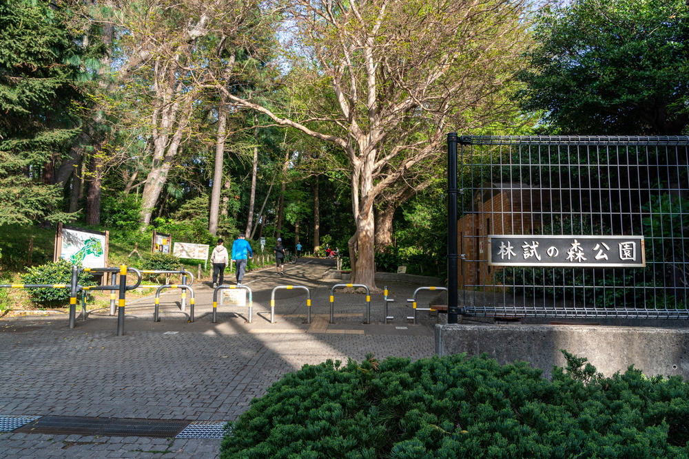 林試の森公園