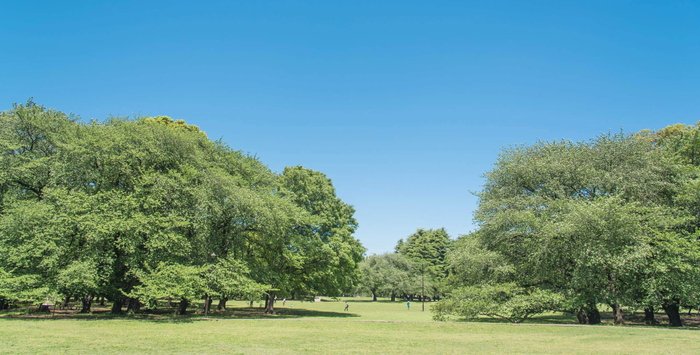 砧公園