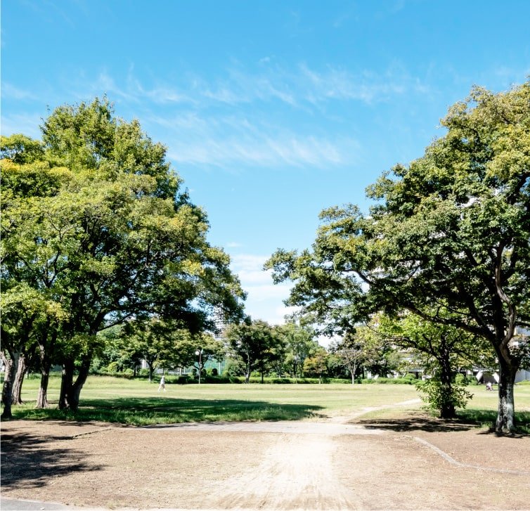 南港太陽のまち公園