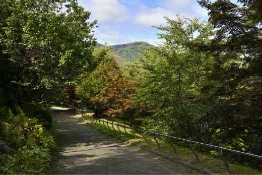 天神山緑地
