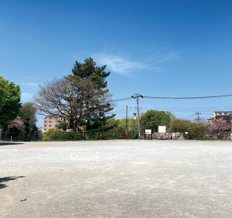 アルビス前原中央公園