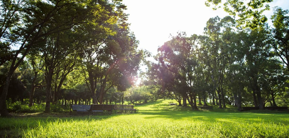 万博記念公園