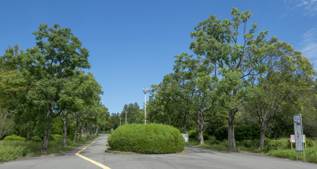 千里北公園