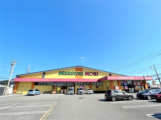 ドラッグストアモリ 美里店