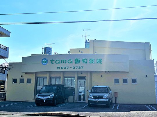 tama動物病院