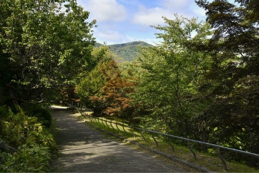天神山緑地