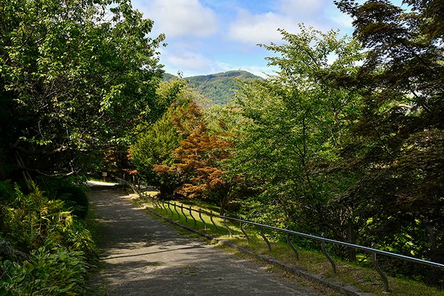 天神山緑地