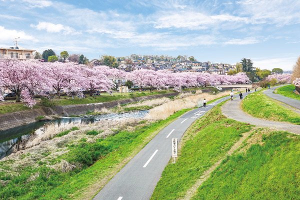 南浅川緑地