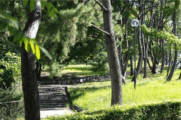 藤白公園