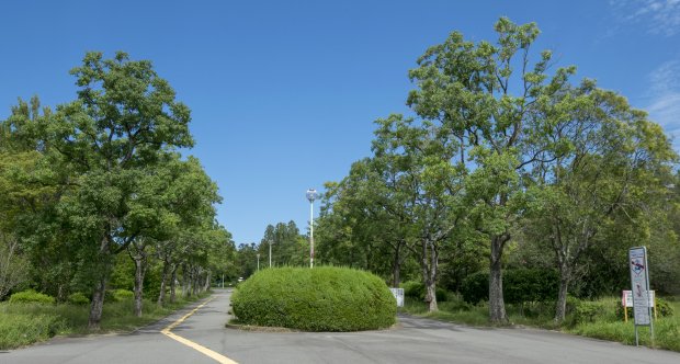 千里北公園