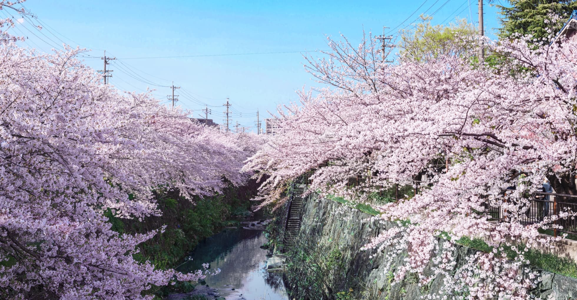 山崎川