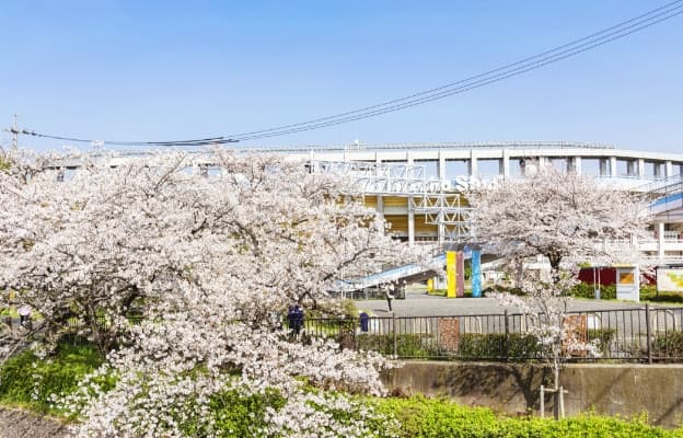 瑞穂公園