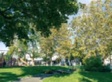 大友公園