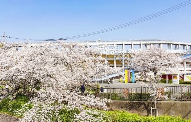 瑞穂公園