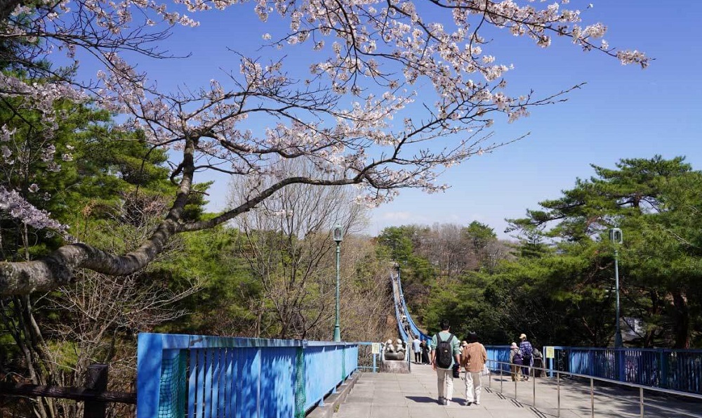 八幡山公園