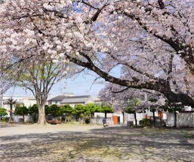 千波児童公園