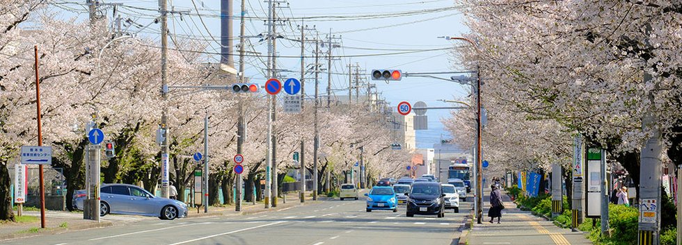 自衛隊通り