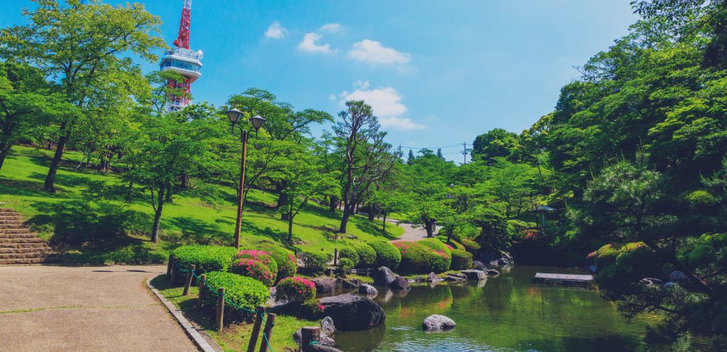 八幡山公園