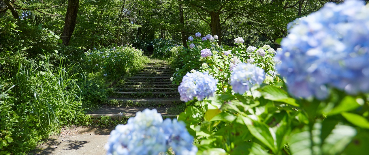 生田緑地