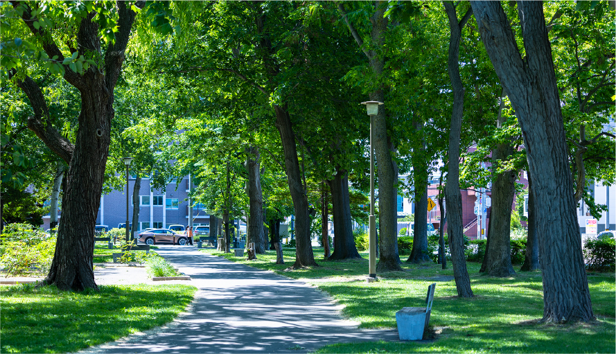 美香保公園