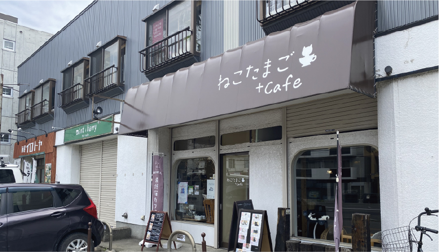 ねこたまご+caf‘e