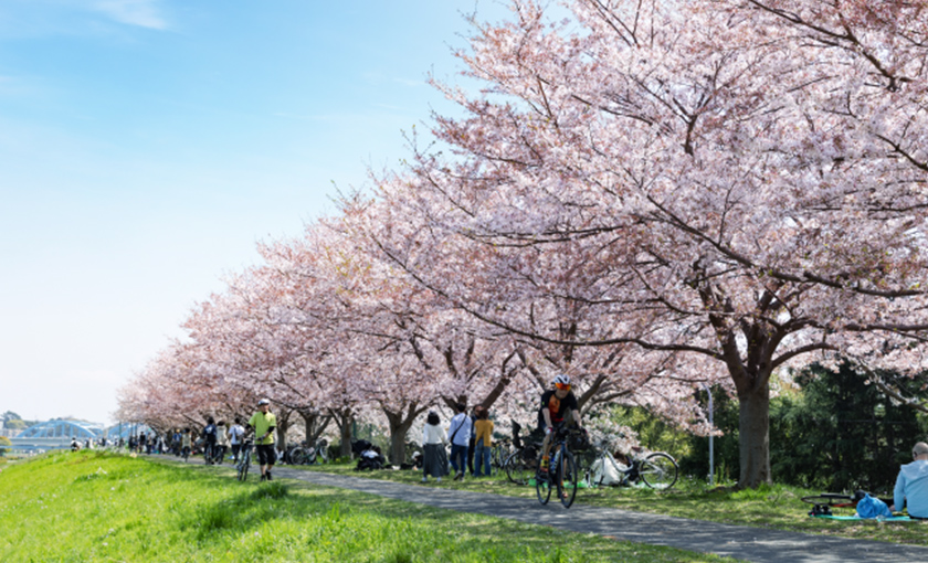 かわさき多摩川ふれあいロード