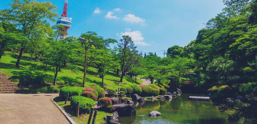 八幡山公園