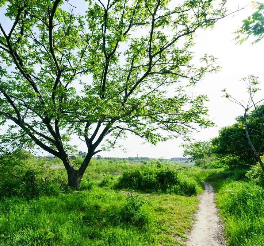 多摩川緑地