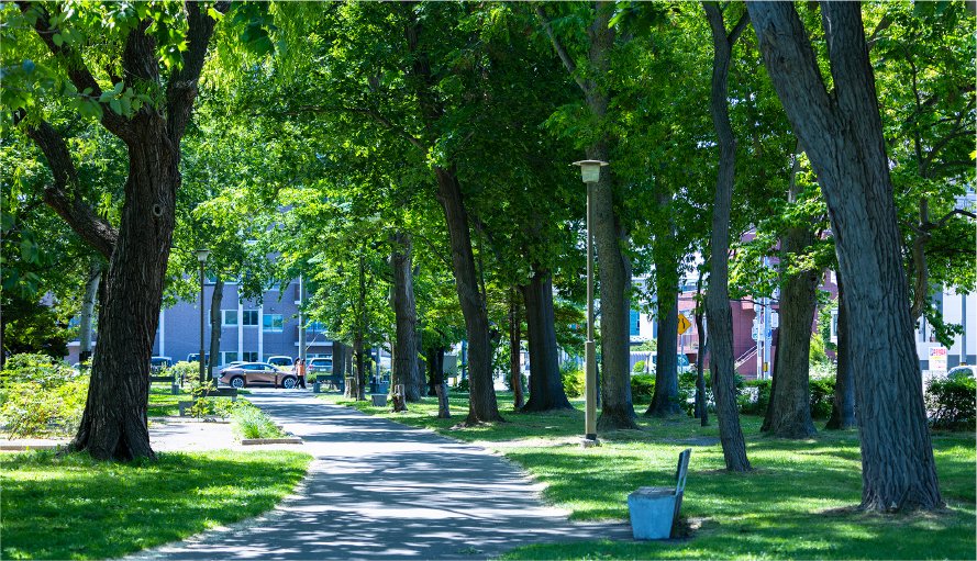 美香保公園