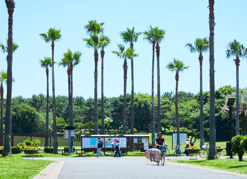 辻堂海浜公園