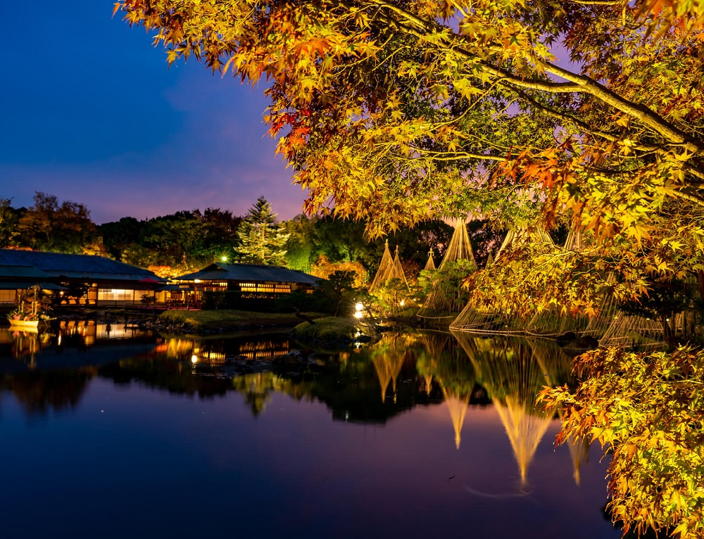 白鳥庭園・白鳥公園