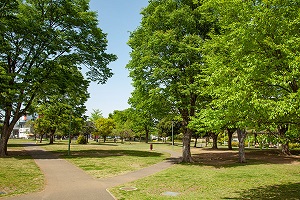 福岡中央公園