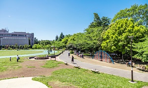 平和の森公園