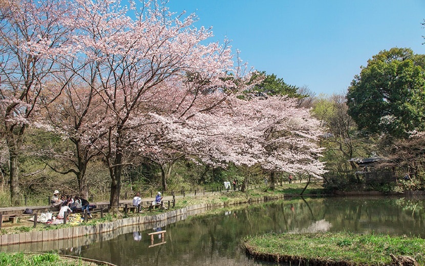 国立科学博物館附属自然教育園