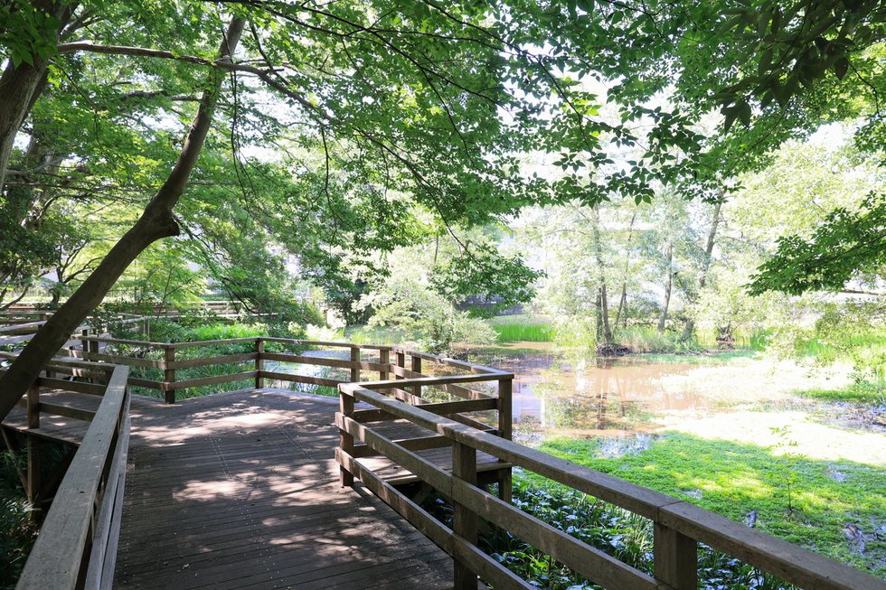 仙波河岸史跡公園