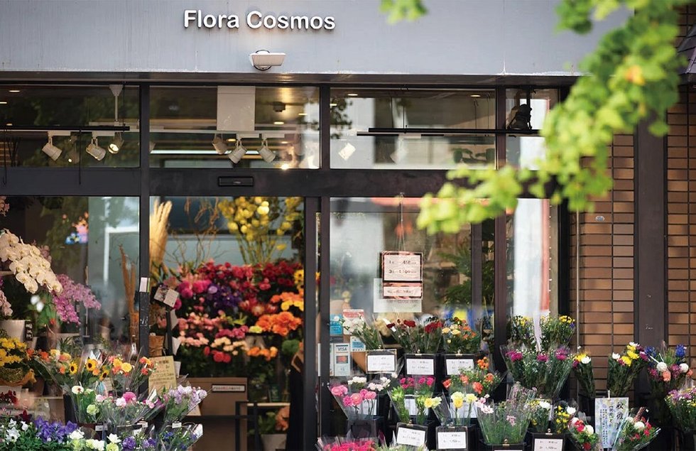 Flora Cosmos