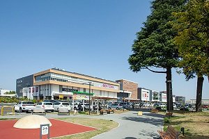 イオンタウンふじみ野