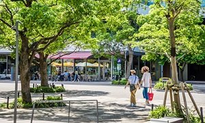 中野四季の森公園