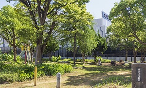 東区2号公園