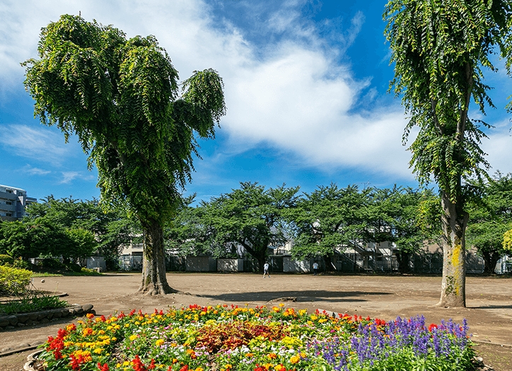 南台ふじみ公園