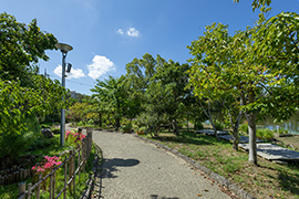 鏡伝池緑地