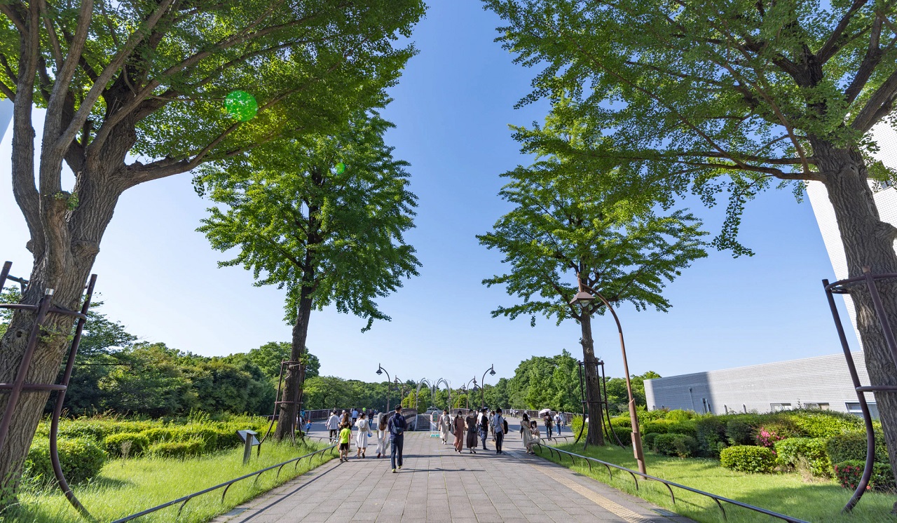 光が丘公園