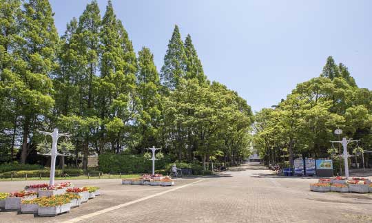 尼崎市記念公園