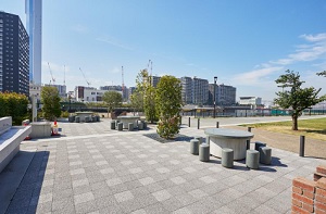 豊海運動公園BBQ場